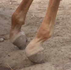 Image from Original article at http://www.turn180.ie/?p=730