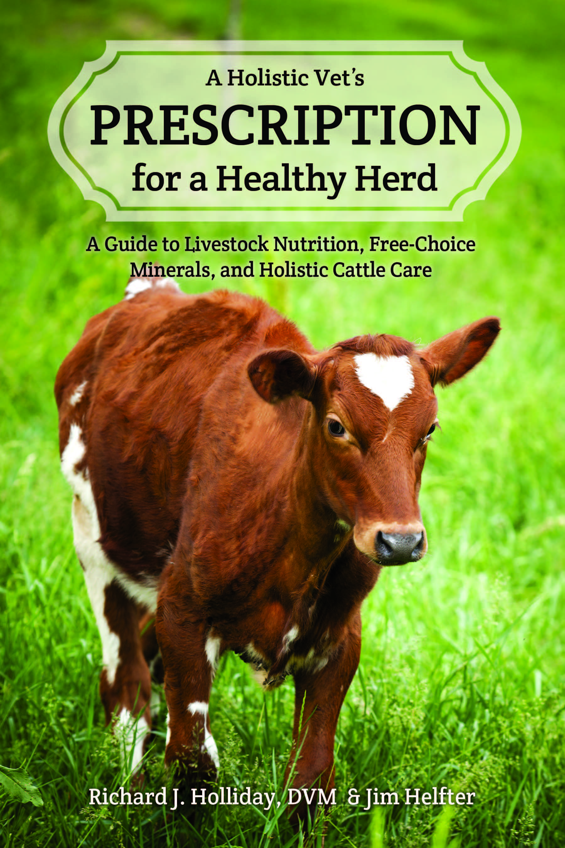 A Holistic Vet's Prescription for a Healthy Herd