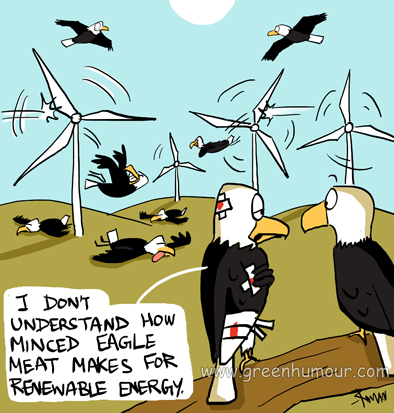 Bald Eagles Cartoon