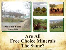 eLearning Series Book 1 - Minerals